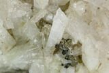 Danburite Crystal Cluster with Pyrite - San Luis Potosi, Mexico #127028-1